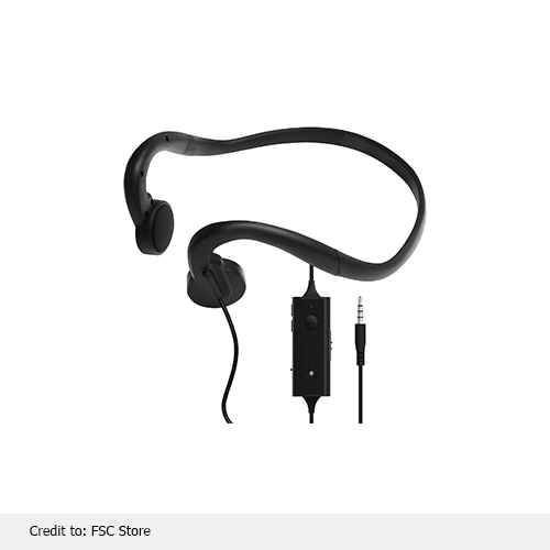 Earphones with Mic