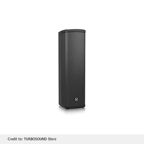 iP300 Loudspeaker with 2 x6.5" Woofers